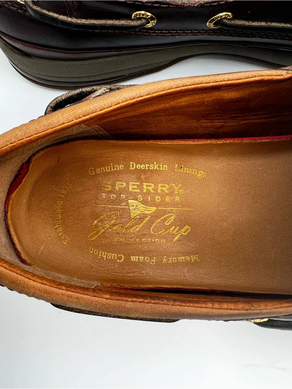 Sperry elevate your